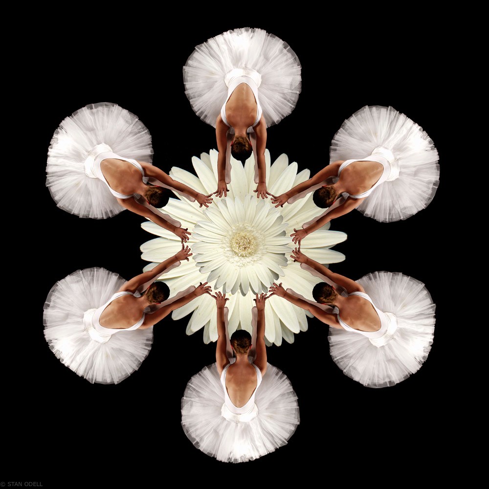 Circle of Ballet Dancers